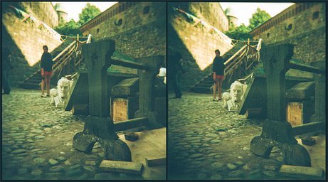 カメラ: Holga 120 3D Stereo Camera · Lomography