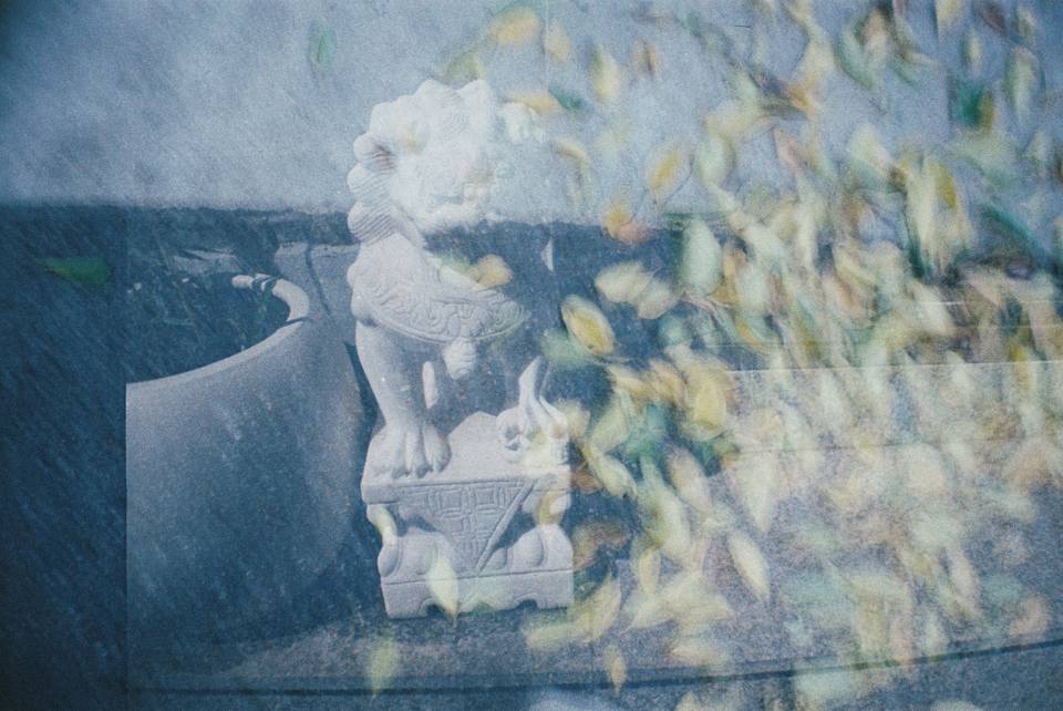 厦门 × 天津｜© 旺旺、叶明｜LomoChrome Color '92 ISO 400 135 彩色负片