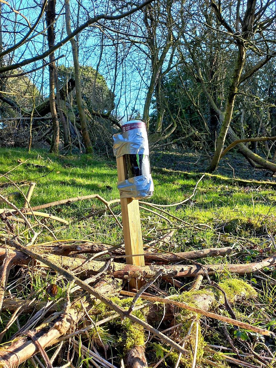 Photos by Alan Withington (@roaringtree)