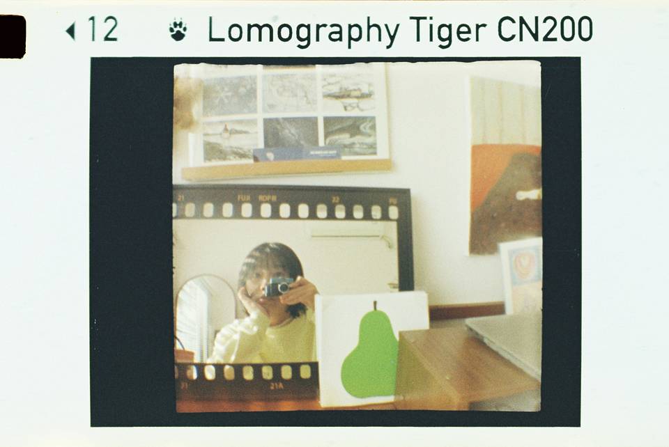 © 炉膛 | Diana Byby 110 胶片相机 &amp; Lomography Color Tiger 200 彩色负片