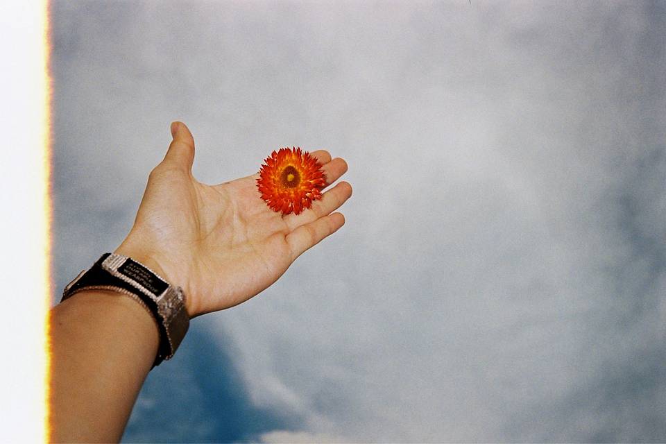 照片来自 须臾 使用 Lomo MC-A 135 全自动随拍胶片相机 与 Lomography Color Negative ISO 400 135 彩色负片胶卷 拍摄