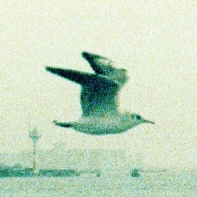 riosacu