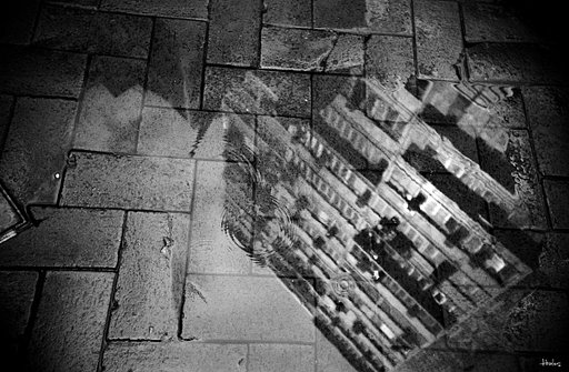 Kodak Tri-400TX — 還是 Analog 的黑白照片較好！