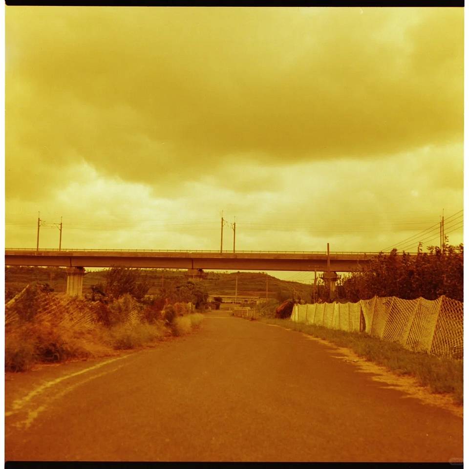 由王可艾使用 Lomography Redscale 红调负片胶卷拍摄