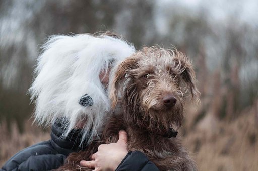 Adorable Cats and Dogs Through the New Petzval 85 Lens