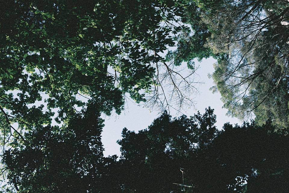 © YE | Shot on LomoChrome Color '92 ISO 400 135 日落版