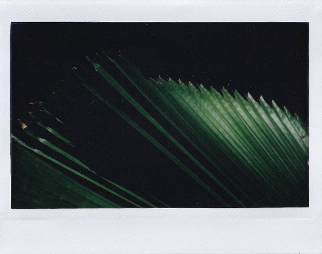 © Warangkana Sangsawa | Lomo'Instant Wide Glass 宽幅玻璃镜头拍立得相机