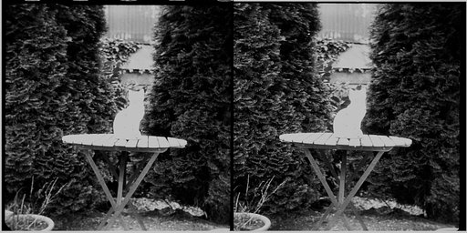 Camera: Wirgin Edixa Stéréo · Lomography