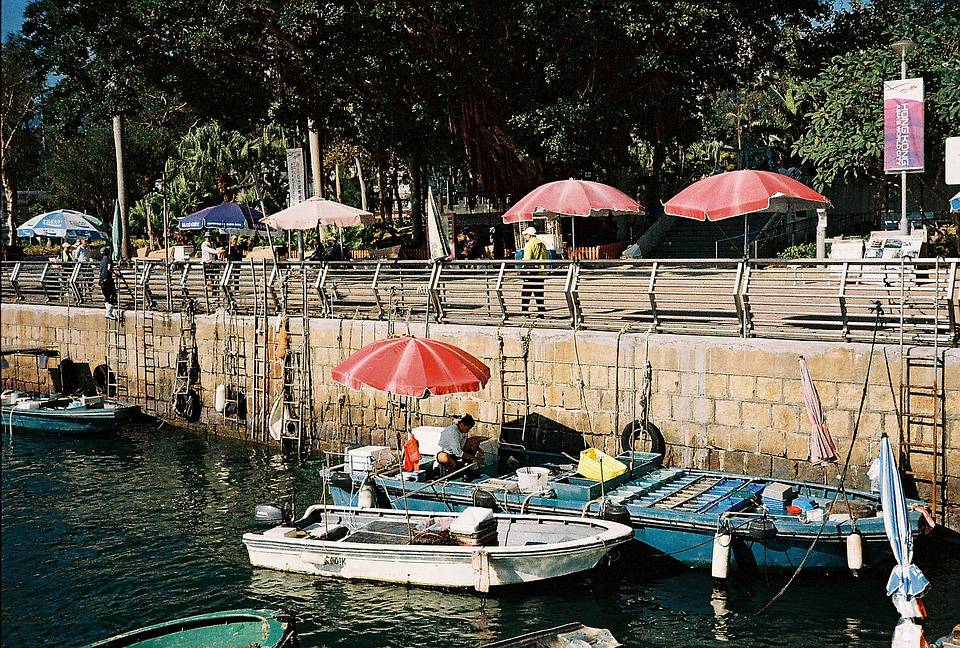 © Ronald  | Shot on  LomoChrome Classicolor ISO 200 135 经典版彩色负片胶卷