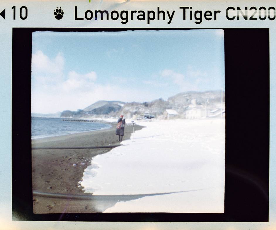 © 炉膛 | Diana Byby 110 胶片相机 &amp; Lomography Color Tiger 200 彩色负片