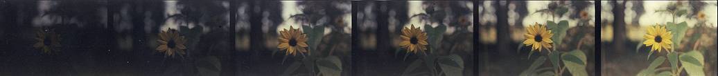 Credits: stereograph