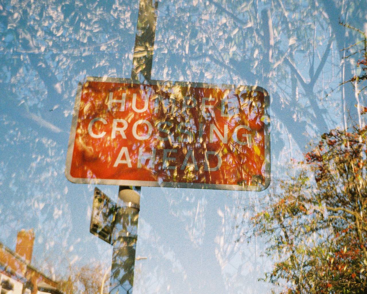 Use MX mode to explore the exciting possibilities and unexpected results of multiple exposures.