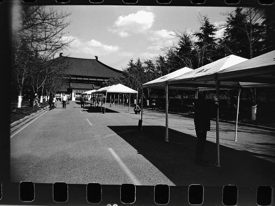 © 临万川 |  使用Lomo LC-A 120 胶片相机 &amp; Lomography B&amp;W Earl Grey ISO 100 120 黑白胶卷拍摄