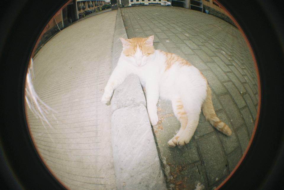 © Katherine