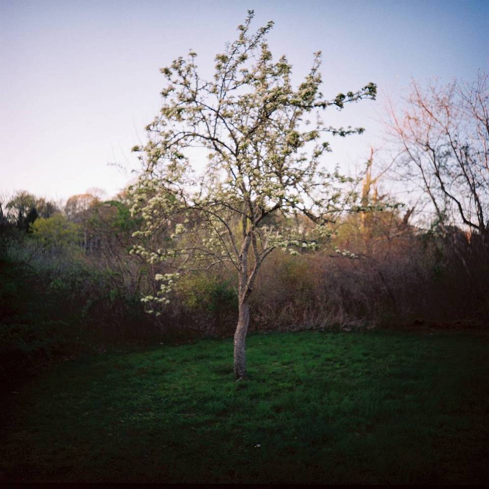 © fleurthesmar