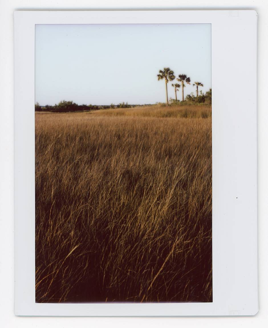 Photos by Corey Kolb