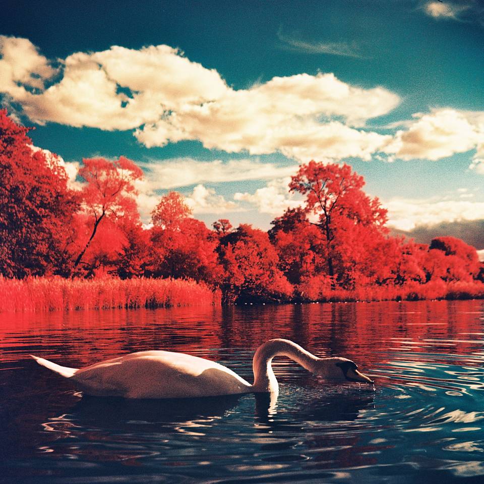 Photos by lazybuddha