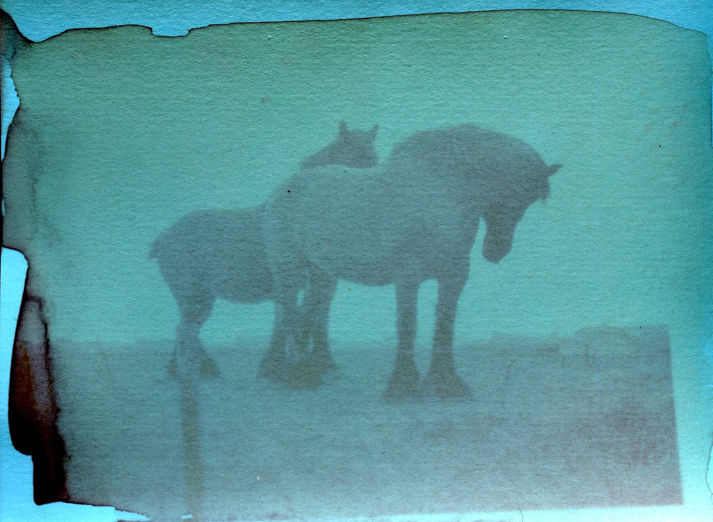 3 Sustainable Photography Processes to Try Out: · Lomography