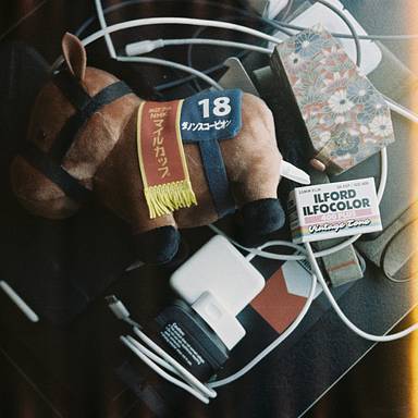 Fujifilm Rensha Cardia - Sweet Sixteen! · Lomography