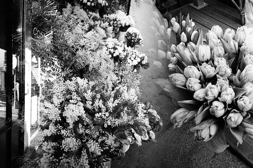 © fleurthesmar  | 使用 Lomo LC-Wide 广角胶片相机，拍摄于巴黎
