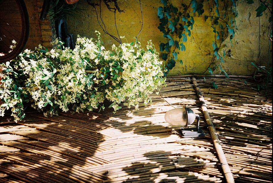 ©贾静娴，尹航，沃季虹｜使用 Lomo MC‑A 全自动随拍胶片相机 &amp;  LomoChrome Classicolor ISO 200 135 经典版彩色负片 拍摄