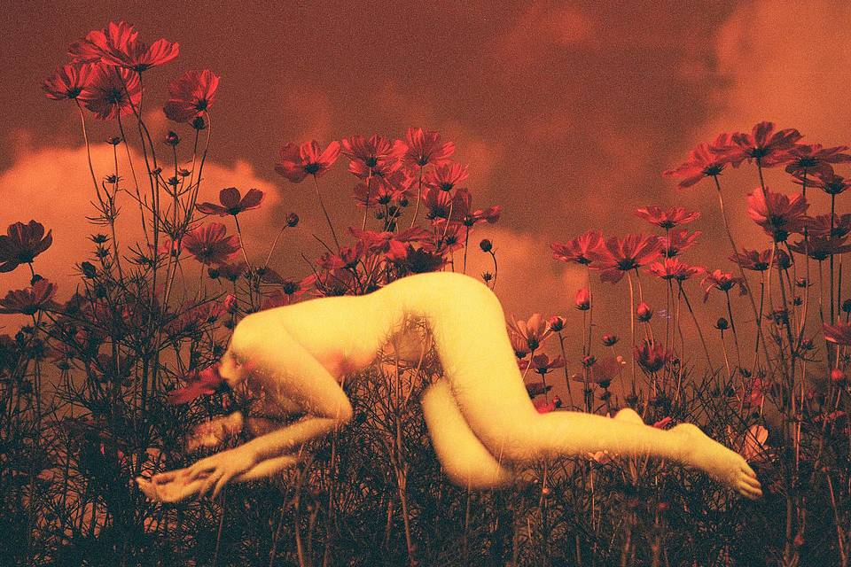 Photos by hodachrome