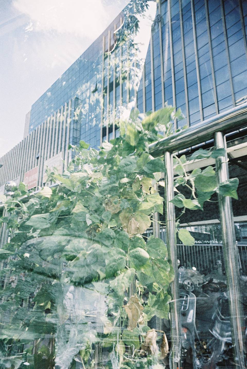 北京 × 西安 | © 雷蕾、钱禹辰｜LomoChrome Metropolis 大都会胶卷