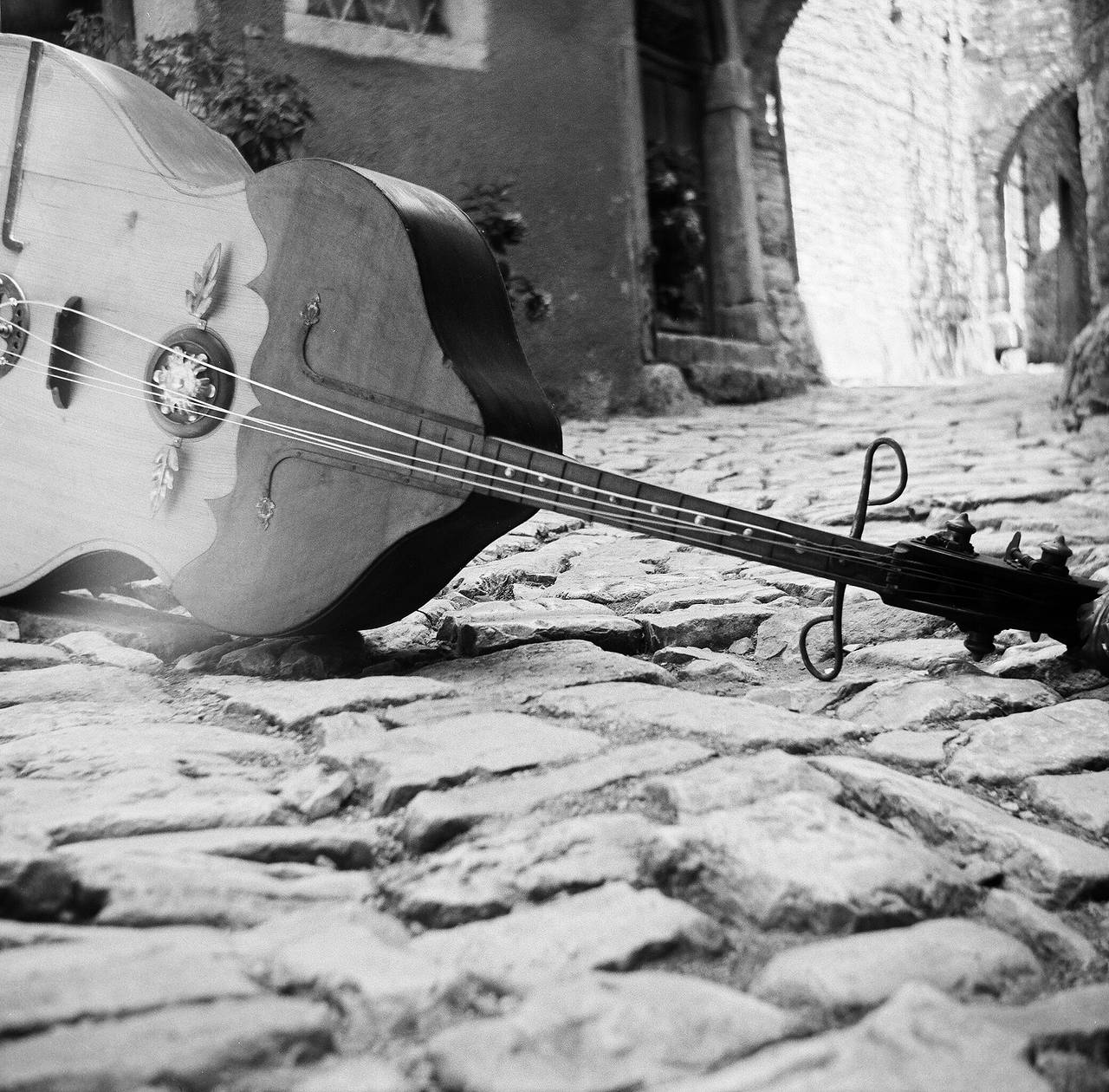 A monochrome fit for the monarchy, this film will imbue your shots with noble nostalgia.