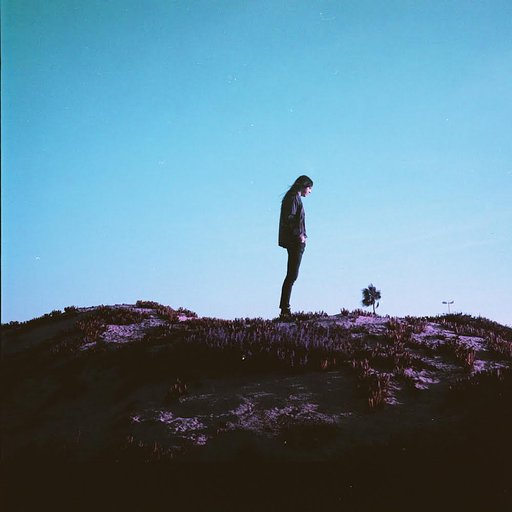 LomoAmigo Galleries: Asher Moss and LomoChrome Purple