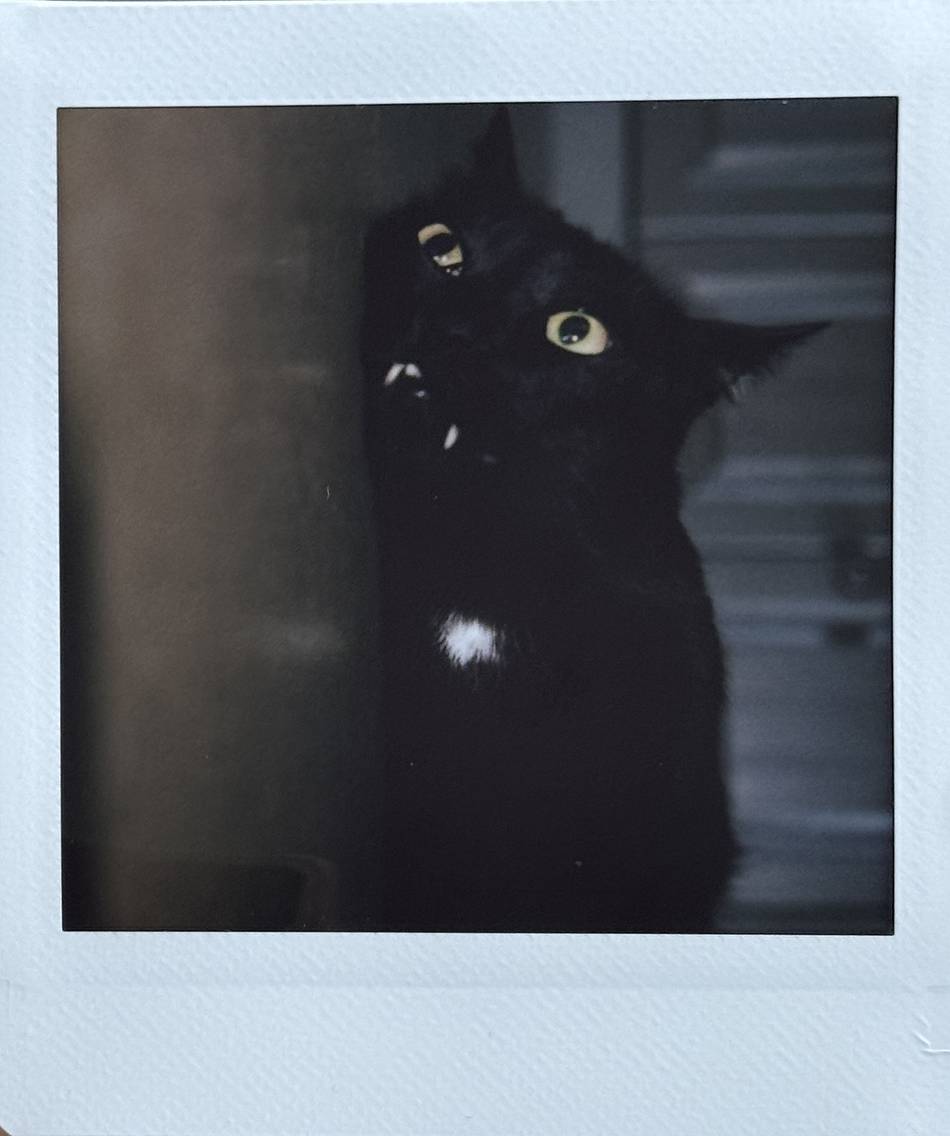 © Jacinta Luo | 使用 Lomo'Instant Square 方形拍立得相机套装－红色 拍摄