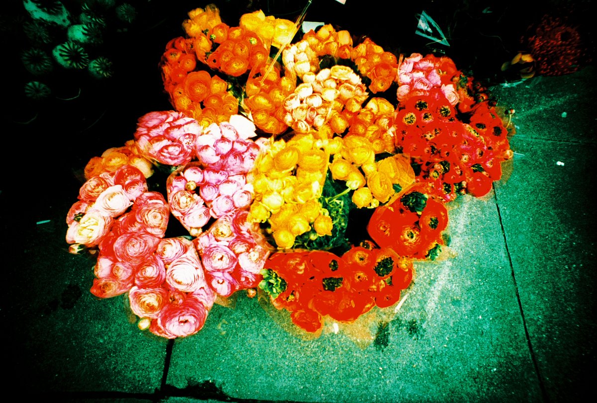 フィルム: Kodak Ektachrome Dyna Ex 100 Slide Film (Expired 2003