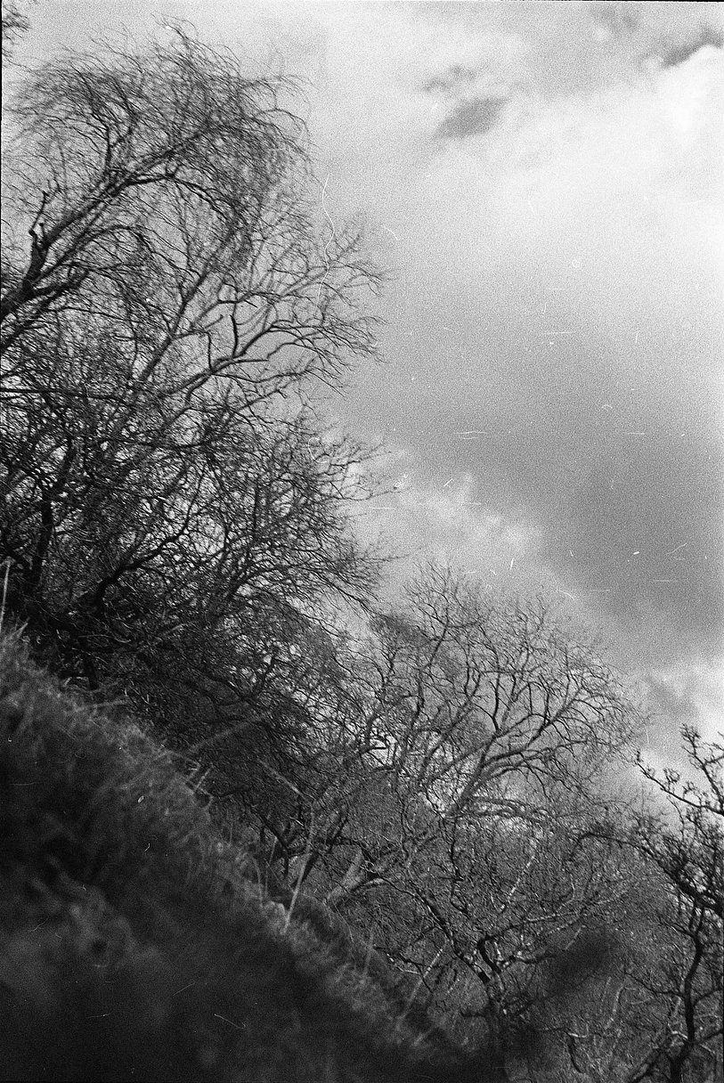 Shooting with Expired Black and White Film · Lomography