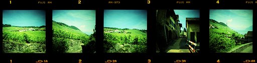 Get More out of Your Diana Mini!