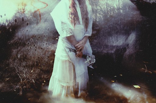 Within the Enchanted Forest: an Interview with Maxime Simoncelli