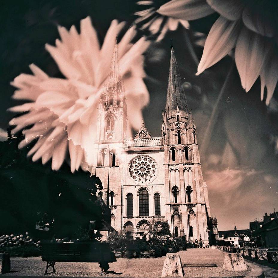 生誕10周年》Diana F+ 多重露光ベストショット集 · Lomography
