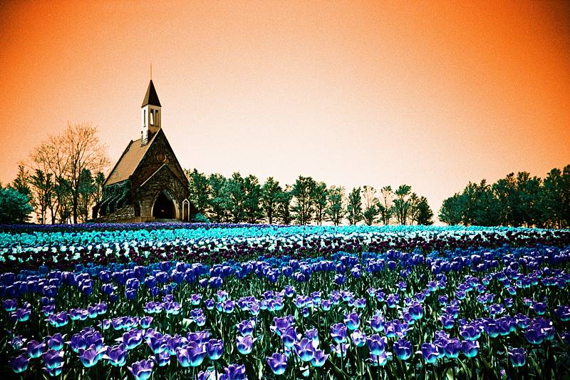 no.129 夜露のブルーターコイズ　一点物 ターコイズブルーの世界を楽しむためのコツ · Lomography