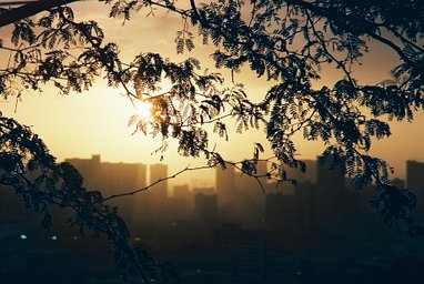 Lens: Super Takumar 135mm f/2.5 · Lomography