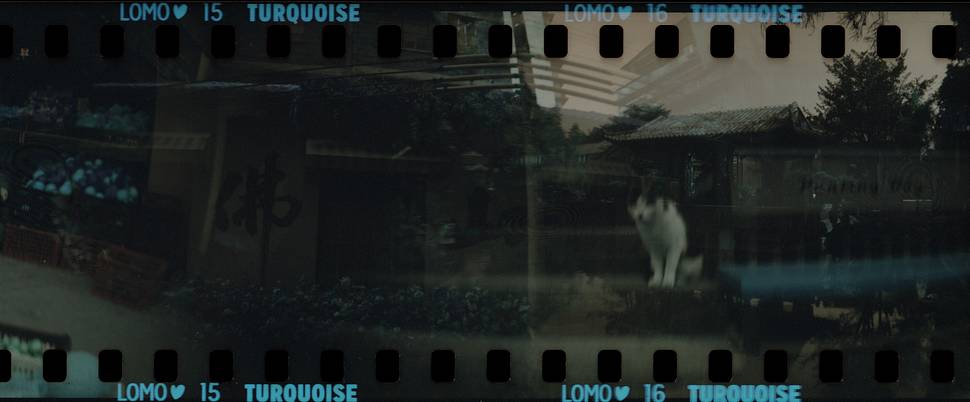 © 不做画图仔的麦仔 & 会发光的金色手表 | 共同使用 Sprocket Rocket 齿孔火箭 135 胶片相机  与 “LomoChrome Turquoise XR 100-400 135 绿松石胶卷”：https://www.lomography.cn/products/f136tq1/ 拍摄
