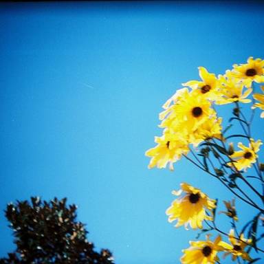 double_exposure