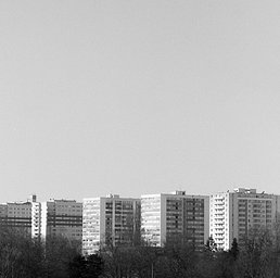 Lens: Mamiya TLR 250mm f6.3 · Lomography