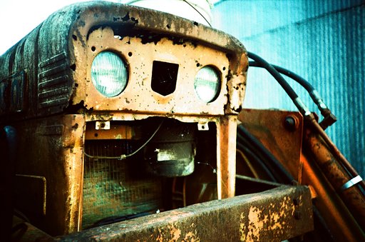 The Film the Turned my Life Green: Fuji Velvia 50 (35mm, 50 iso) User-Review