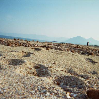 mojcolina