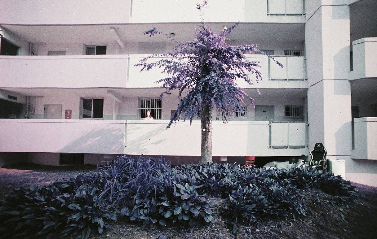 © Jiun | Lomo LC-Wide 广角胶片相机 | LomoChrome Purple ISO 100–400 135 紫调负片－ Pétillant 汽泡特別版 | Model: Hae-ro Kang