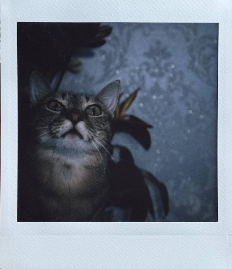 © Jacinta Luo | 使用 Lomo'Instant Square 方形拍立得相机套装－红色 拍摄