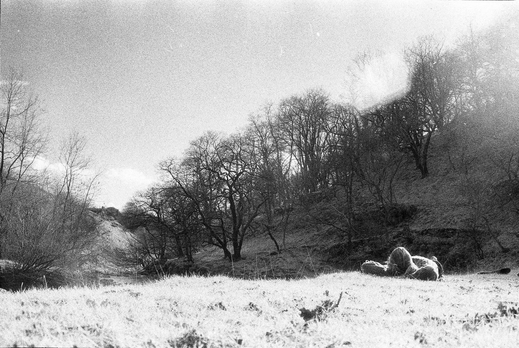 Shooting with Expired Black and White Film · Lomography