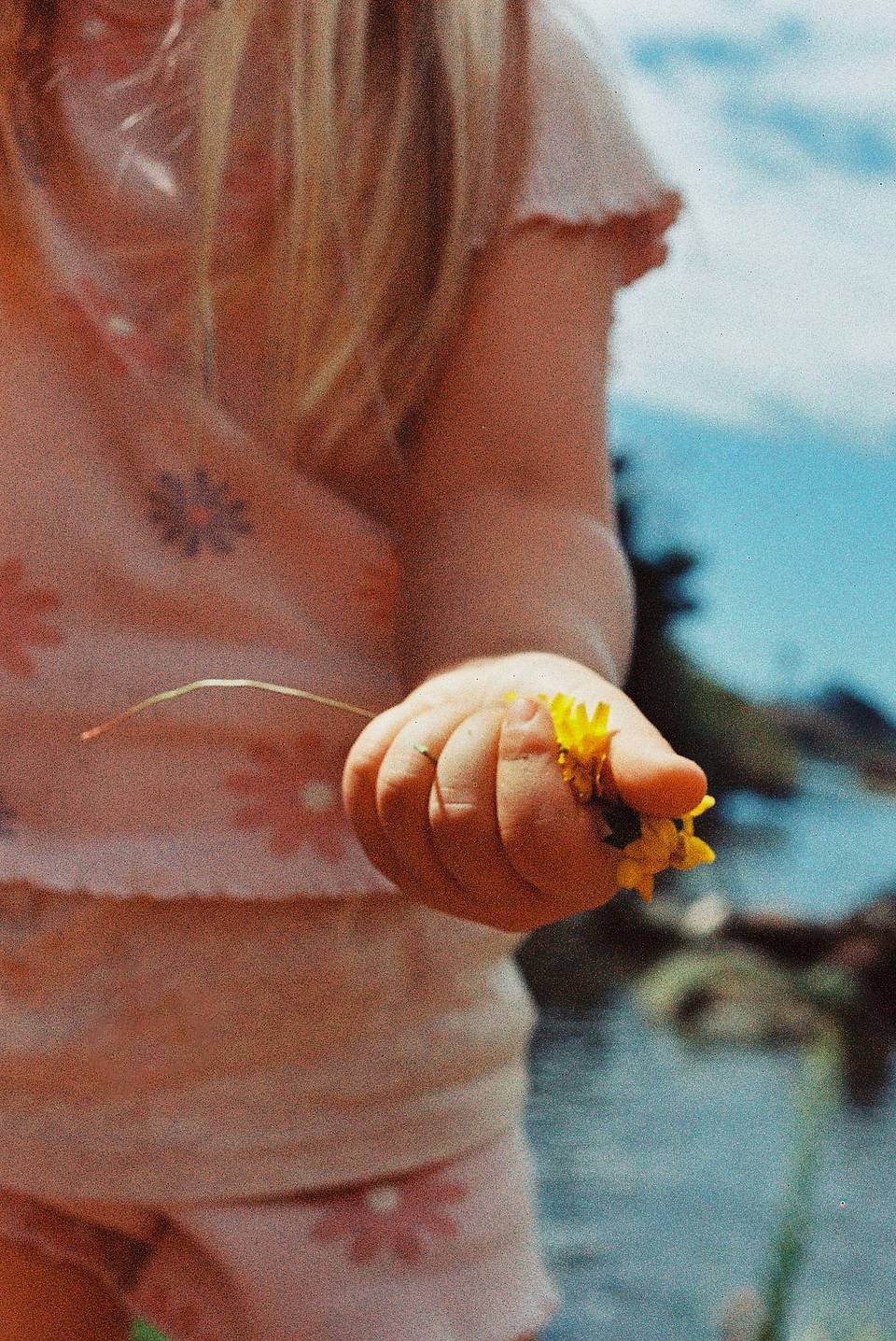 @ Isabella Rose Young | 用 LomoChrome Classicolor ISO 200 135 经典版彩色负片 拍摄