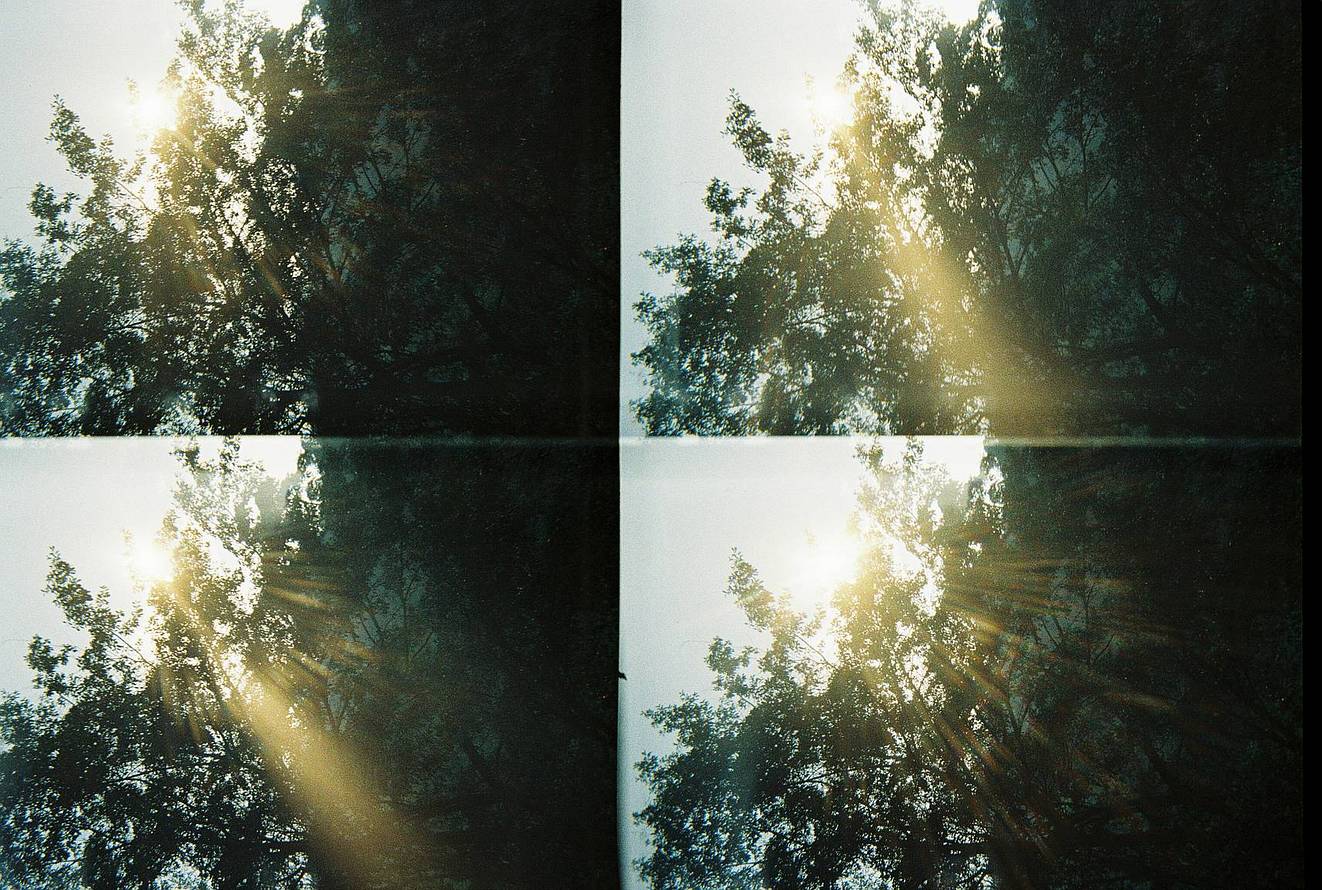 © Roda Nona