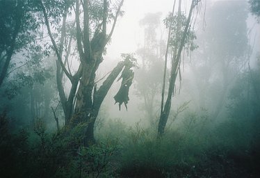 カメラ: Fuji Work Record · Lomography