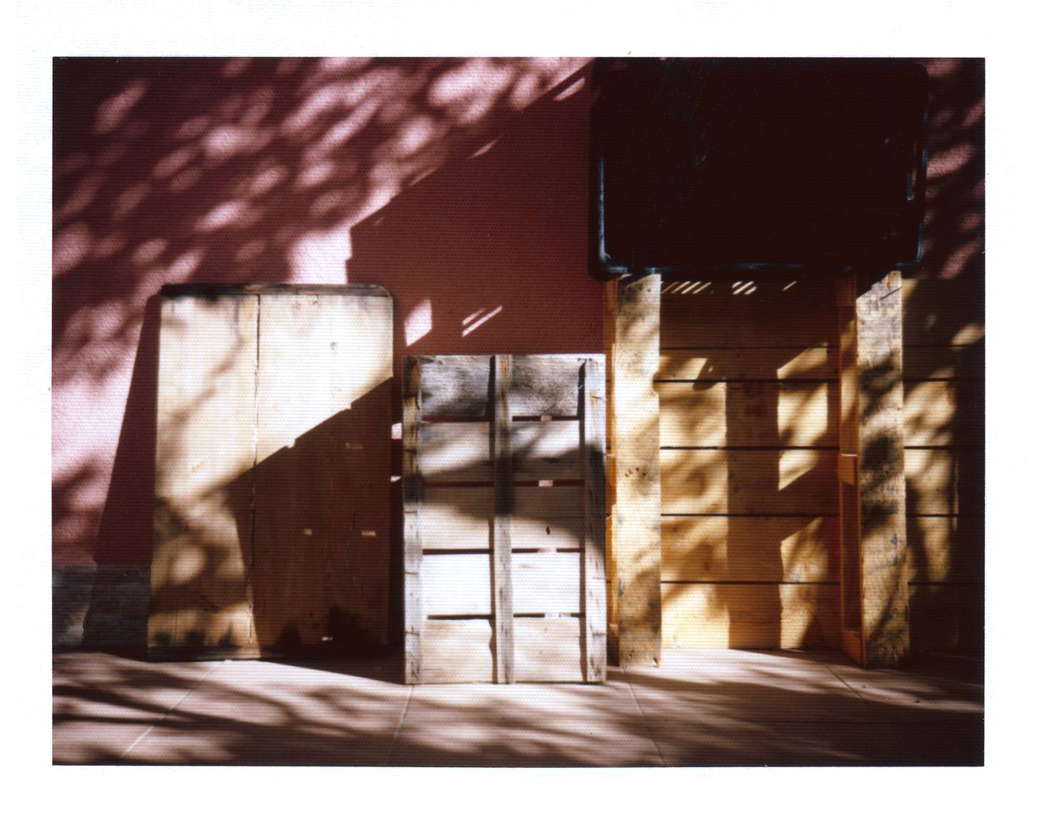 Fujifilm FP-100C フィルム販売終息に対するアナログファンの嘆願書 