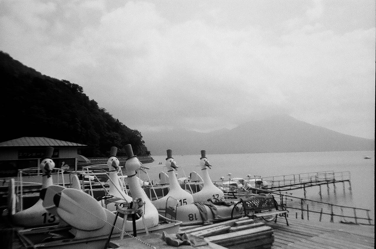 A panchromatic emulsion sensitive to all wavelengths of visible light so the black and white image you capture will be faithful to the full-color scene you saw.